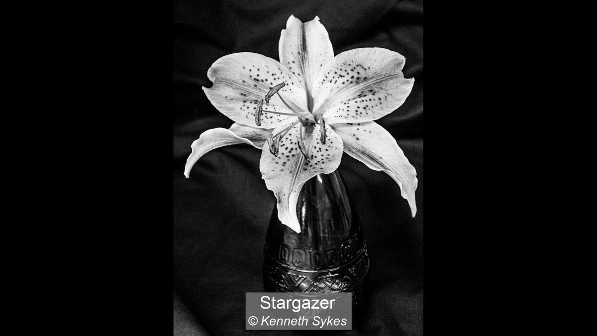 21_Stargazer_Kenneth Sykes